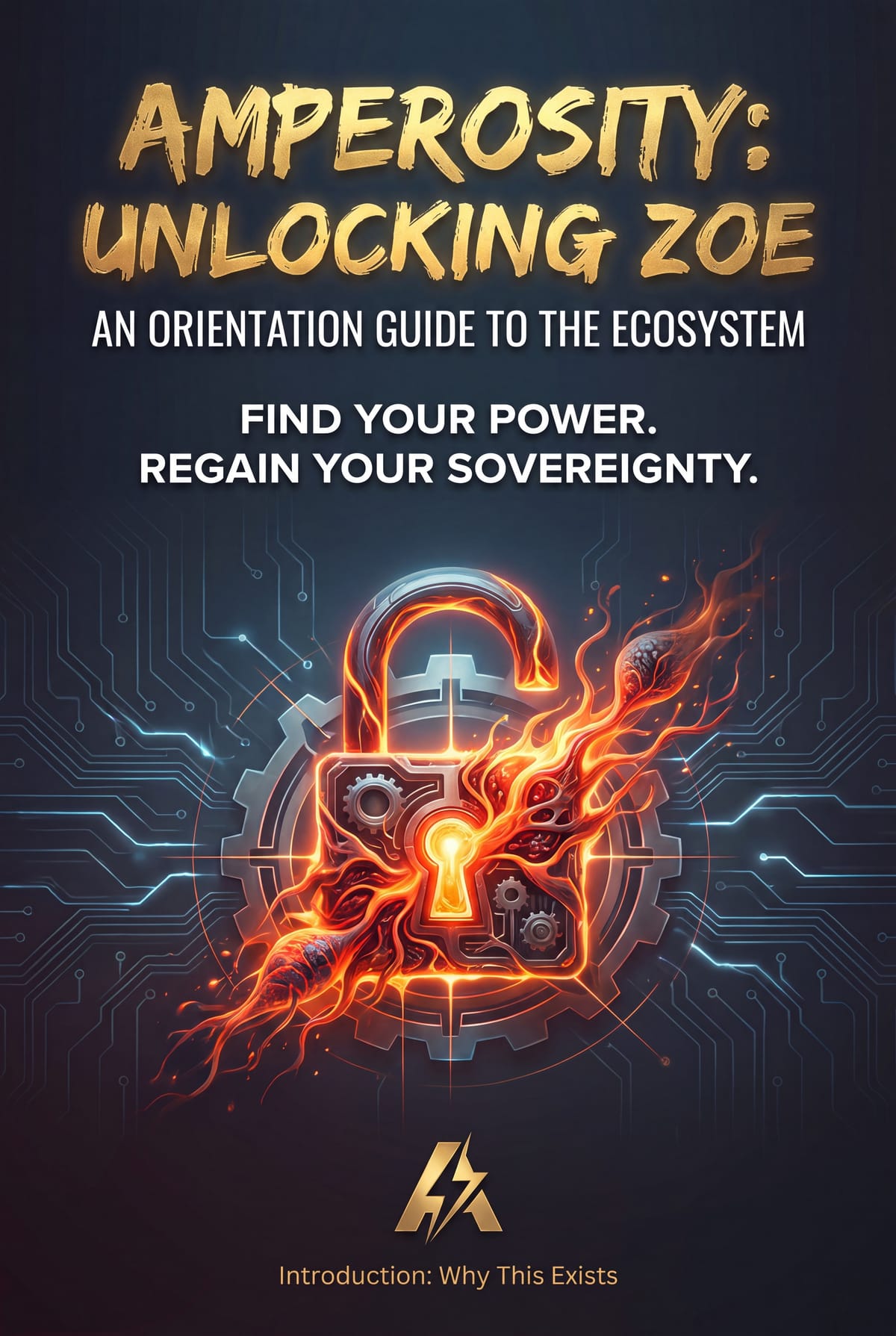 Amperosity: Unlocking ZOE — An Orientation Guide to the Ecosystem